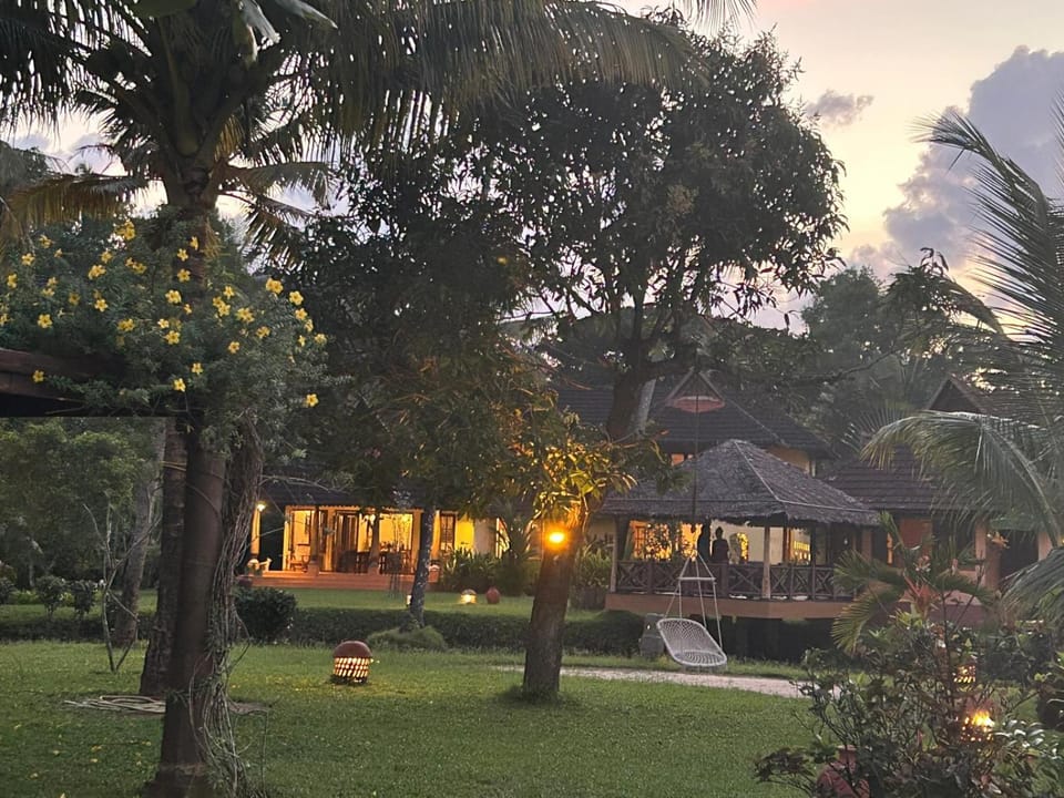 Natural landscape, Garden, Garden view