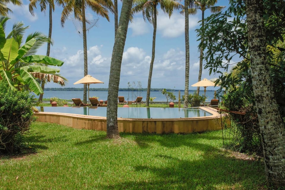 Garden, Swimming pool