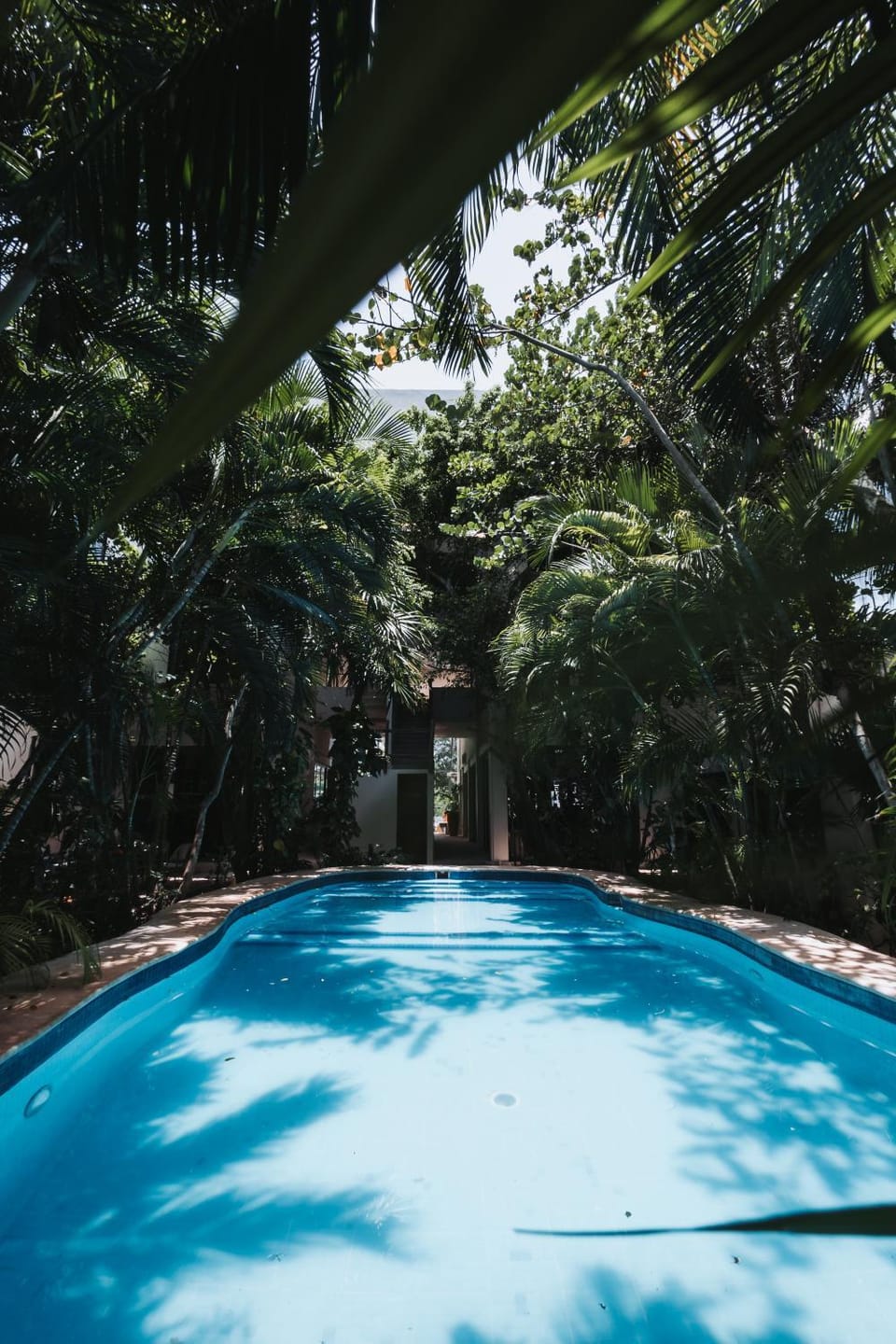 Pool view, Swimming pool, Swimming pool