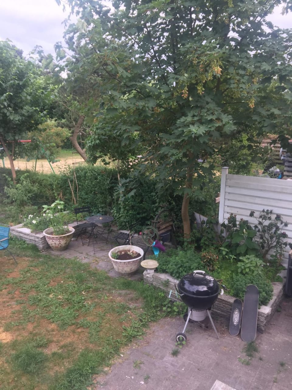 Natural landscape, BBQ facilities, Garden