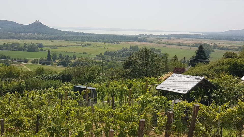 Lake view