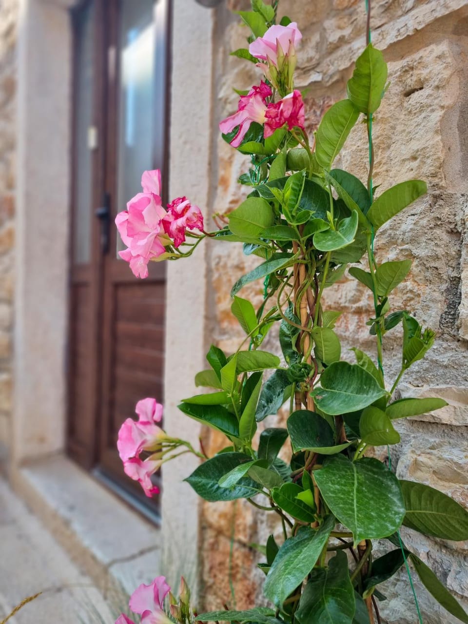 Apartment Ane Apartment in Istria County