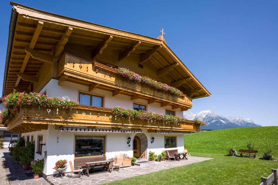 Property building, Day, Garden