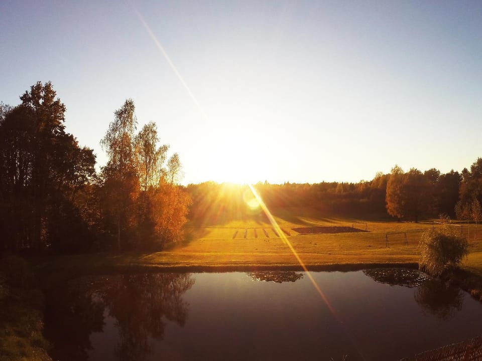 Natural landscape, Garden view, Sunset