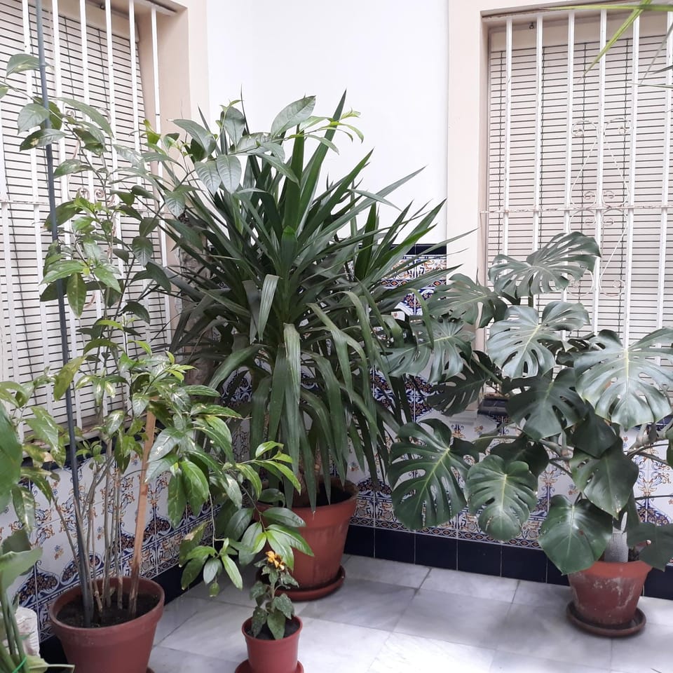 Atico Soleado Apartment in Cadiz