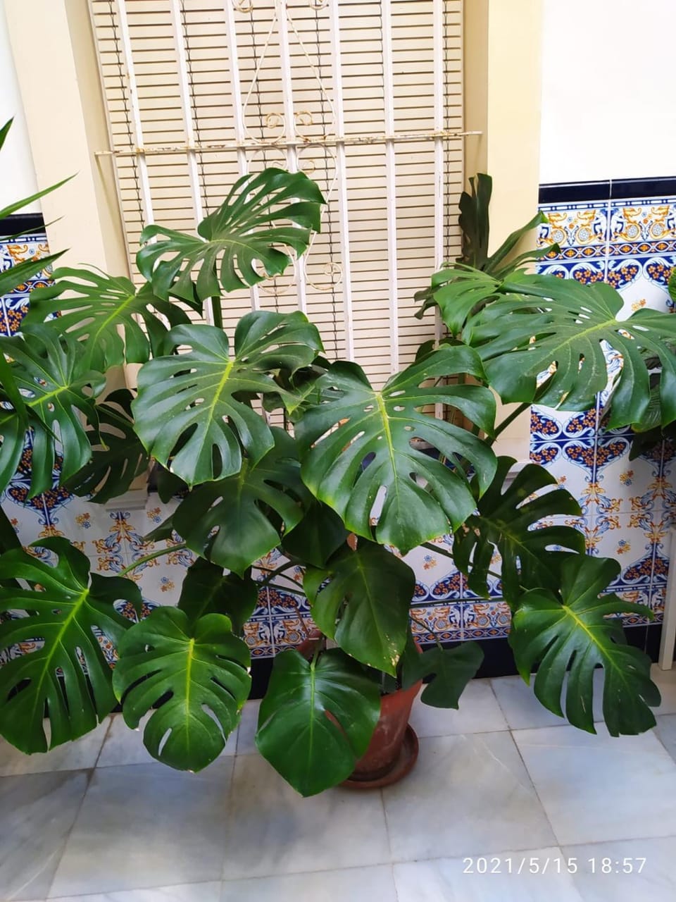 Atico Soleado Apartment in Cadiz