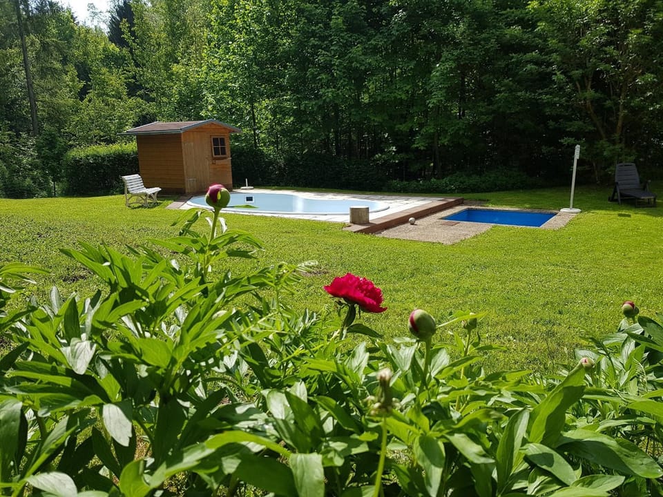 Garden, Swimming pool