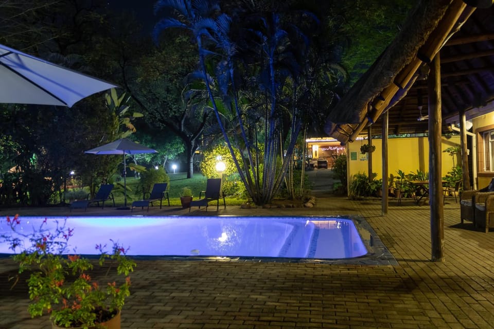 Patio, Night, Garden, Pool view, Swimming pool