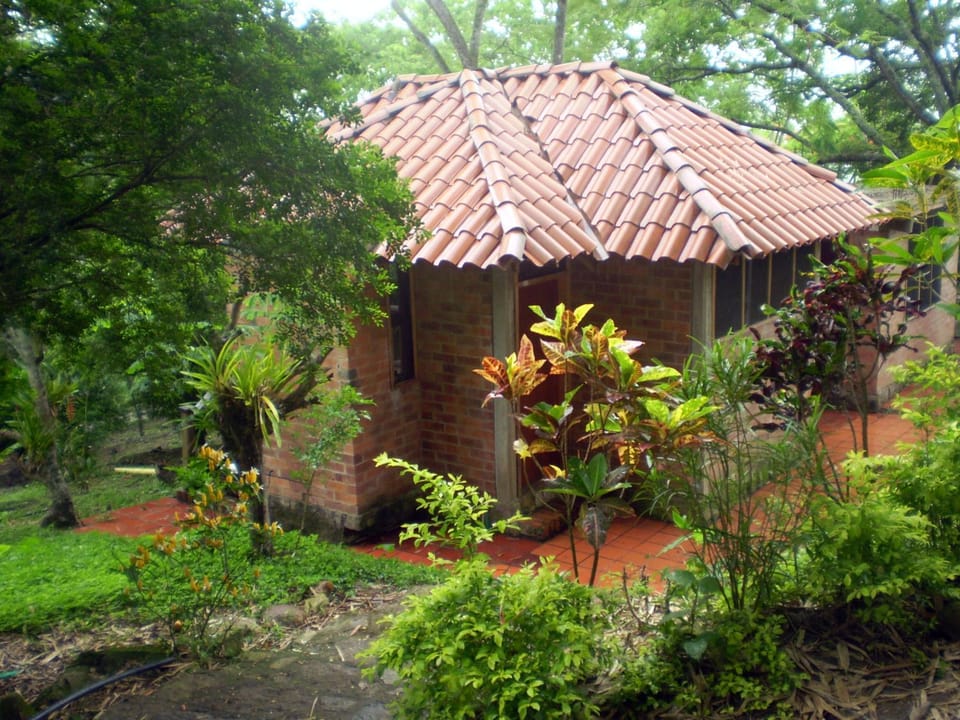 Garden view, Mountain view, Mountain view