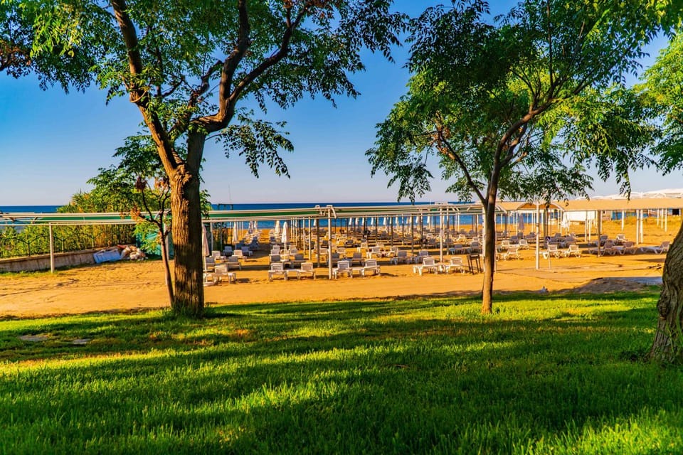 Garden, Beach