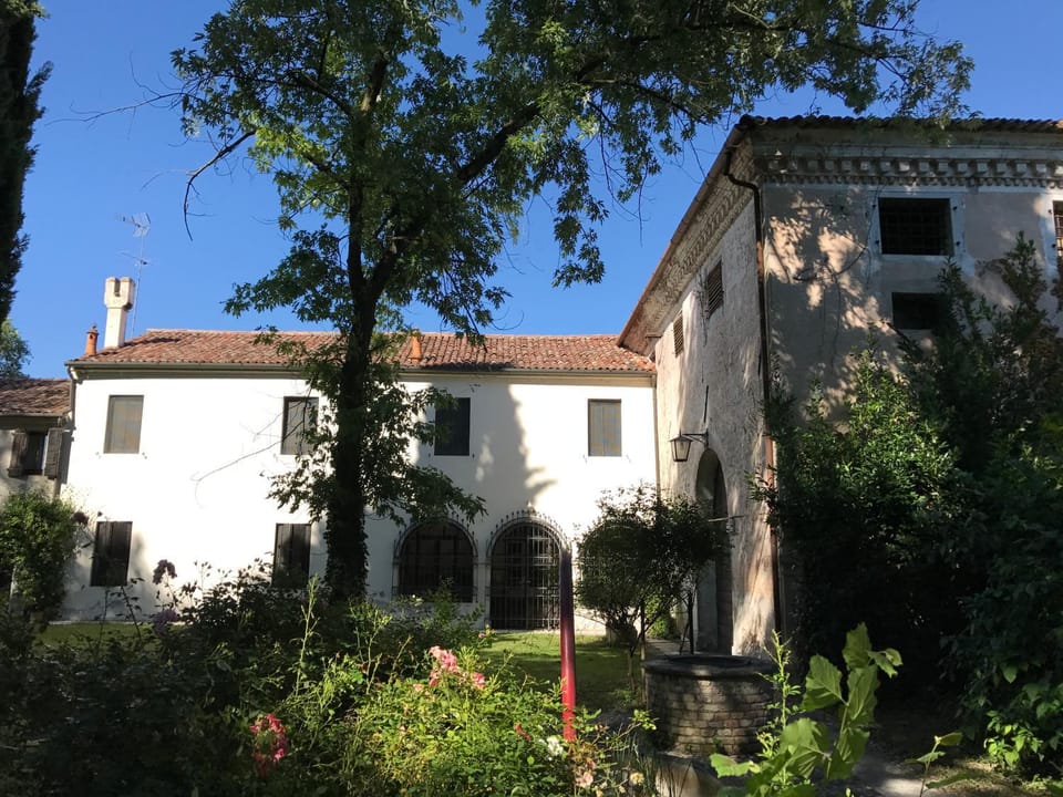 Property building, Garden view