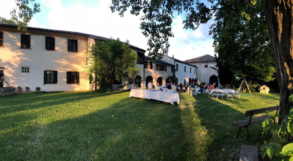 Natural landscape, Garden, View (from property/room), Garden view