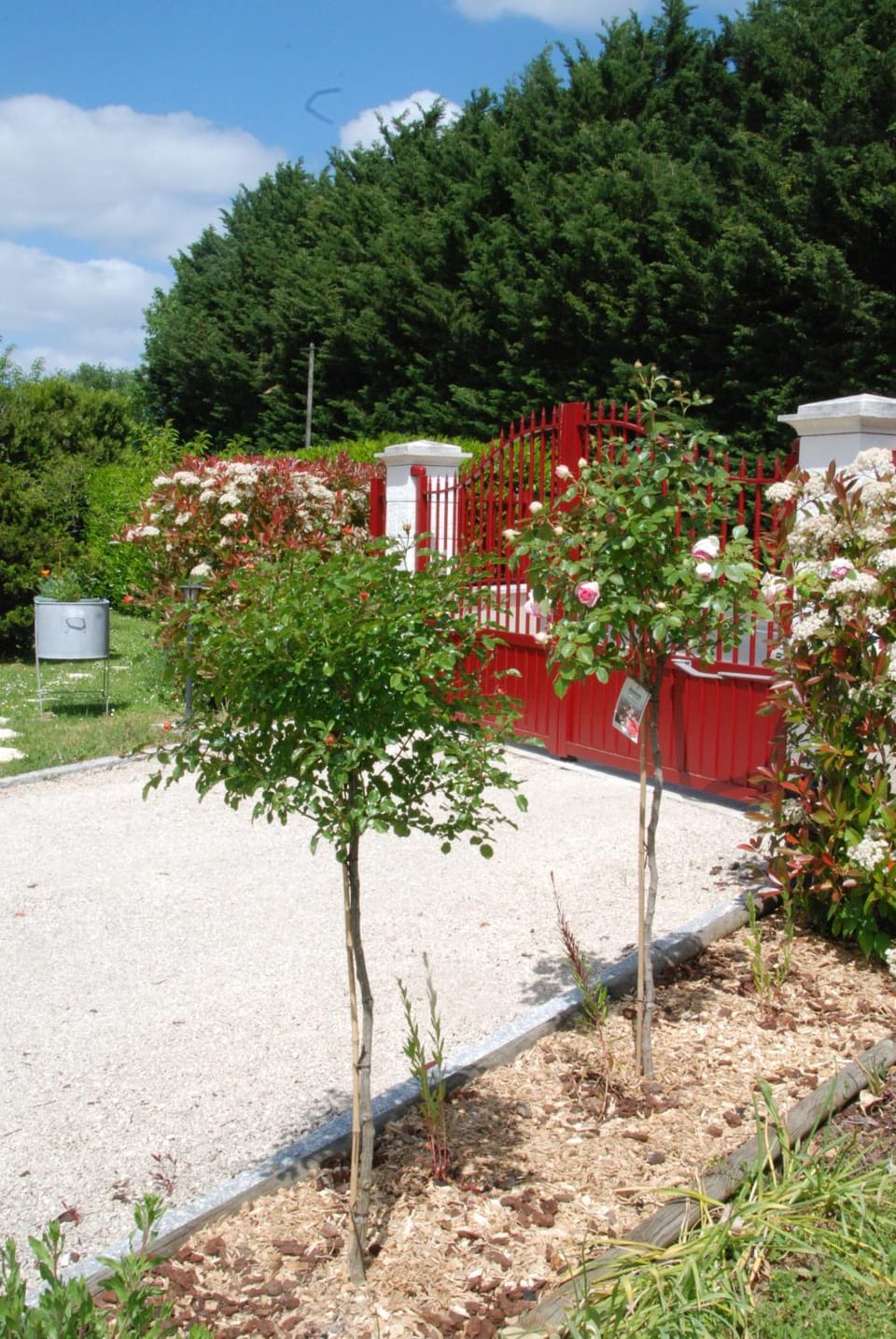 Chambre d'hotes "Les Paturelles" Bed and Breakfast in Centre-Val de Loire