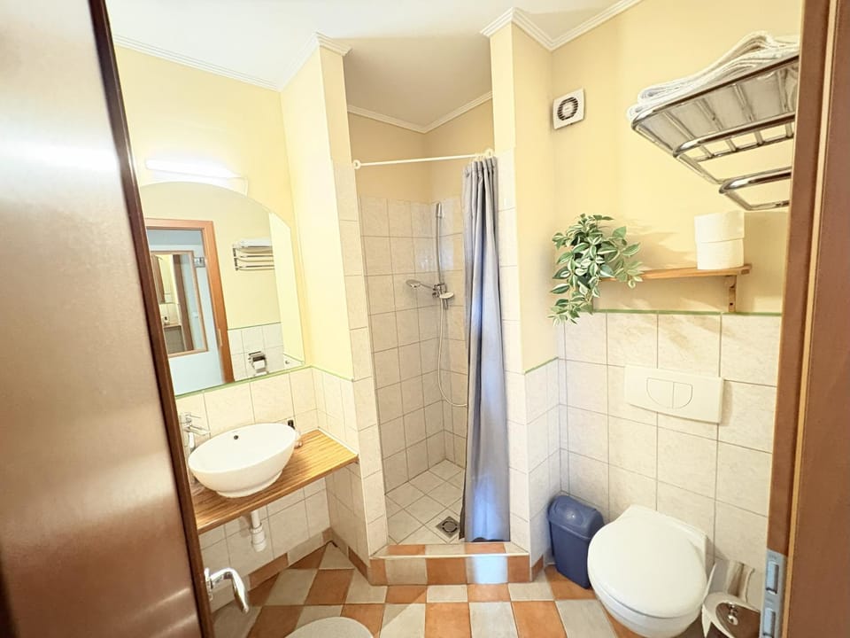 Shower, Toilet, Bathroom, towels