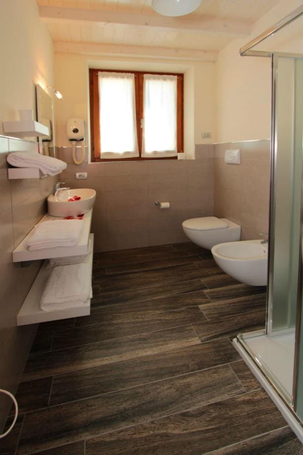 Shower, Toilet, Bathroom, bidet