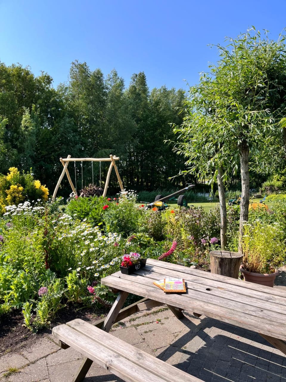 Spring, Garden, Garden view