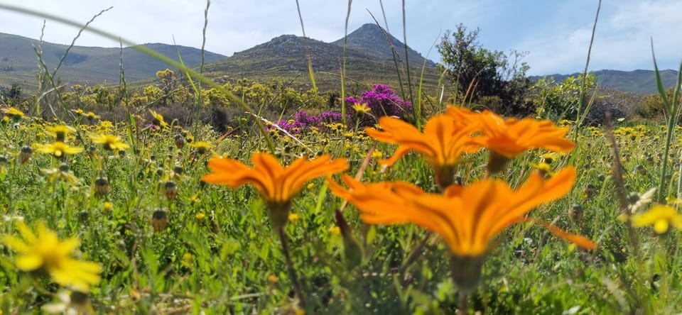 Natural landscape, Mountain view