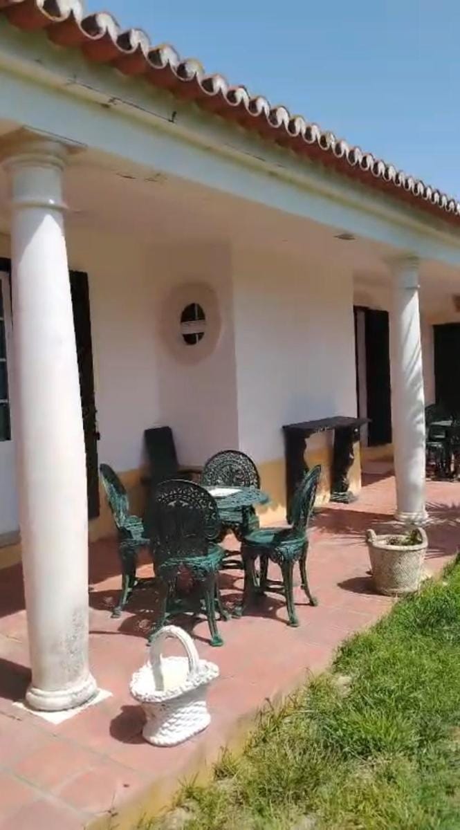 Property building, Patio, Garden, Garden view