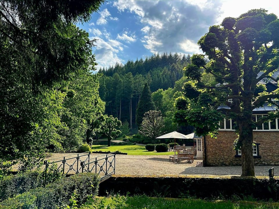 Garden view