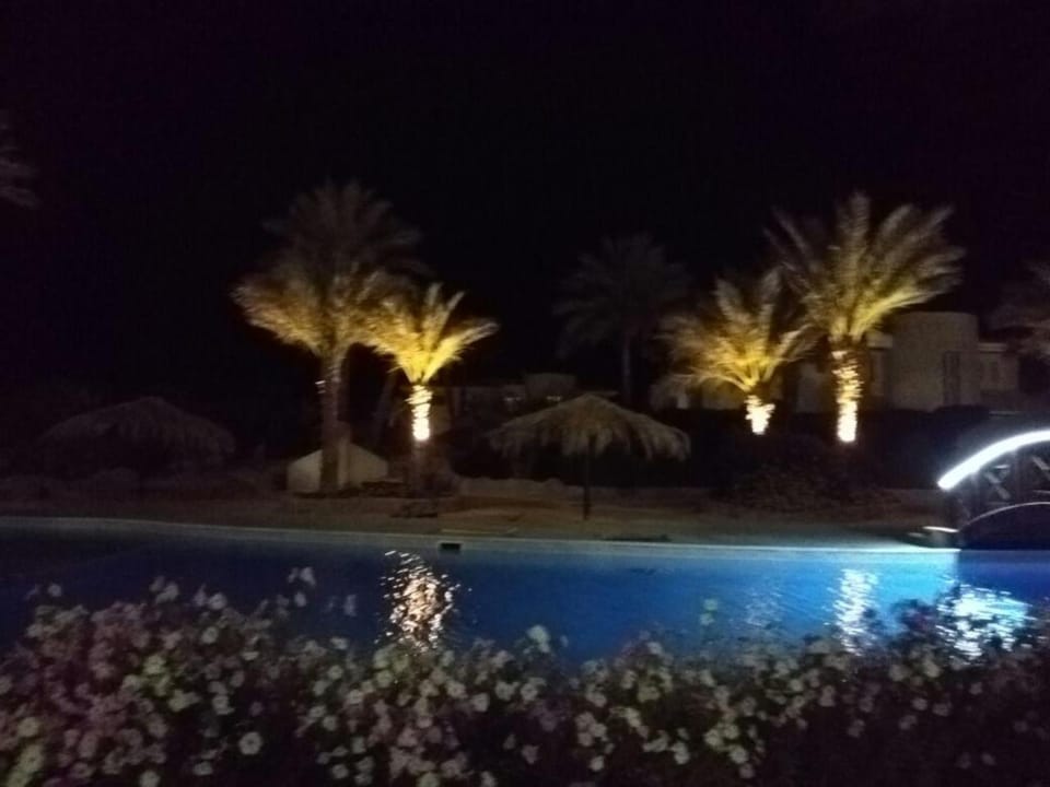 Night