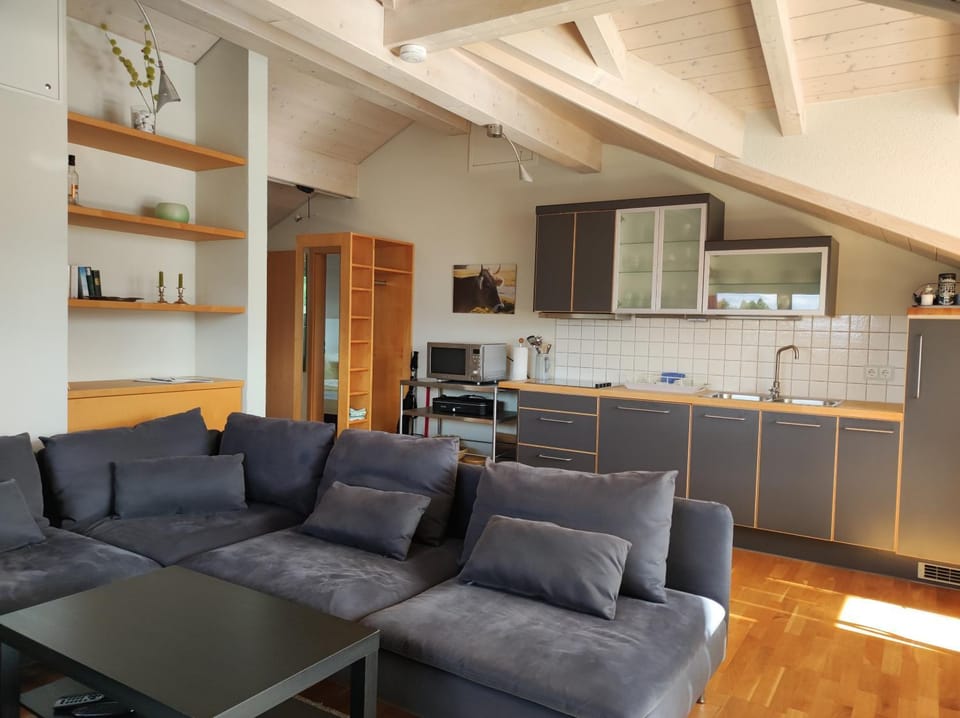 Living room, kitchen