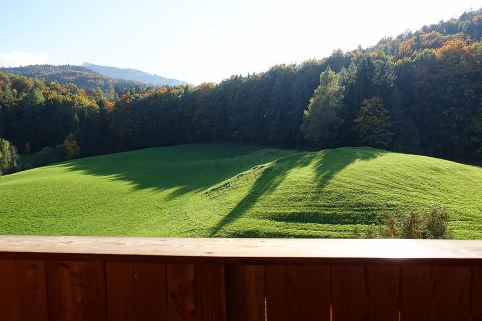 Urlauben im Grünen Farm Stay in Salzburgerland