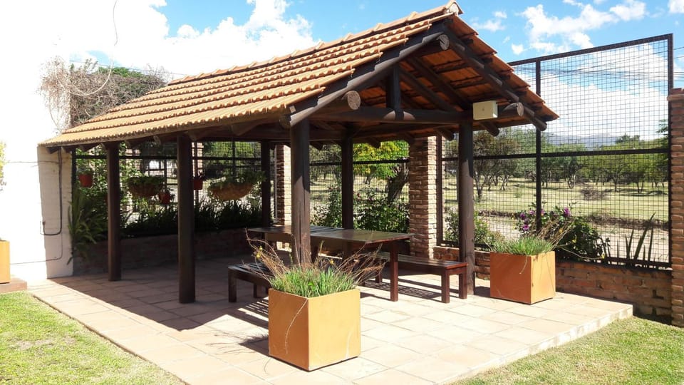 Patio, Garden