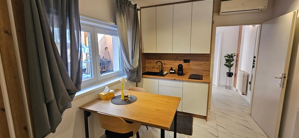 Apartments Lisinski - FREE parking Apartment in City of Zagreb