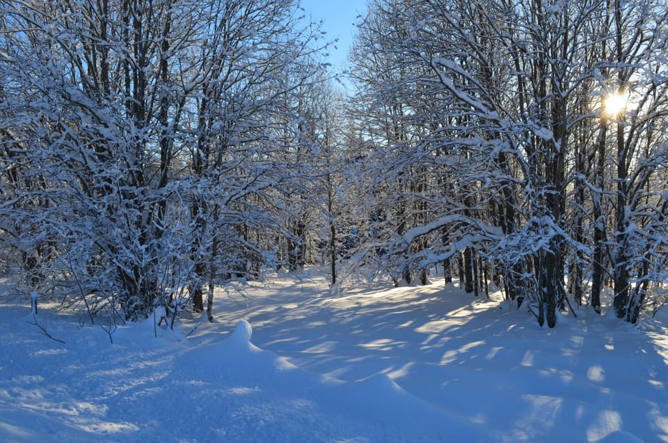 Natural landscape, Winter, Other