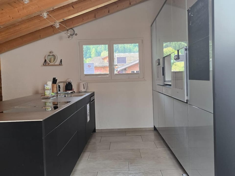 Kitchen or kitchenette, oven, stove