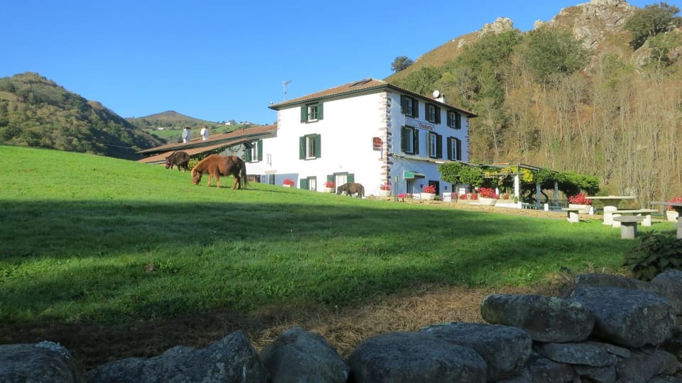 Natural landscape, Garden, Garden view