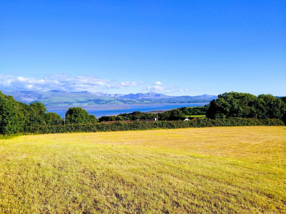 Natural landscape