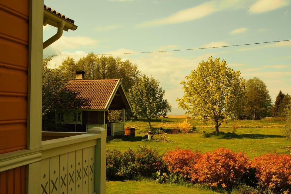 Property building, Garden view