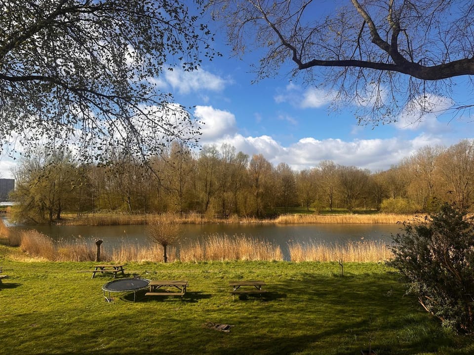 Lake view