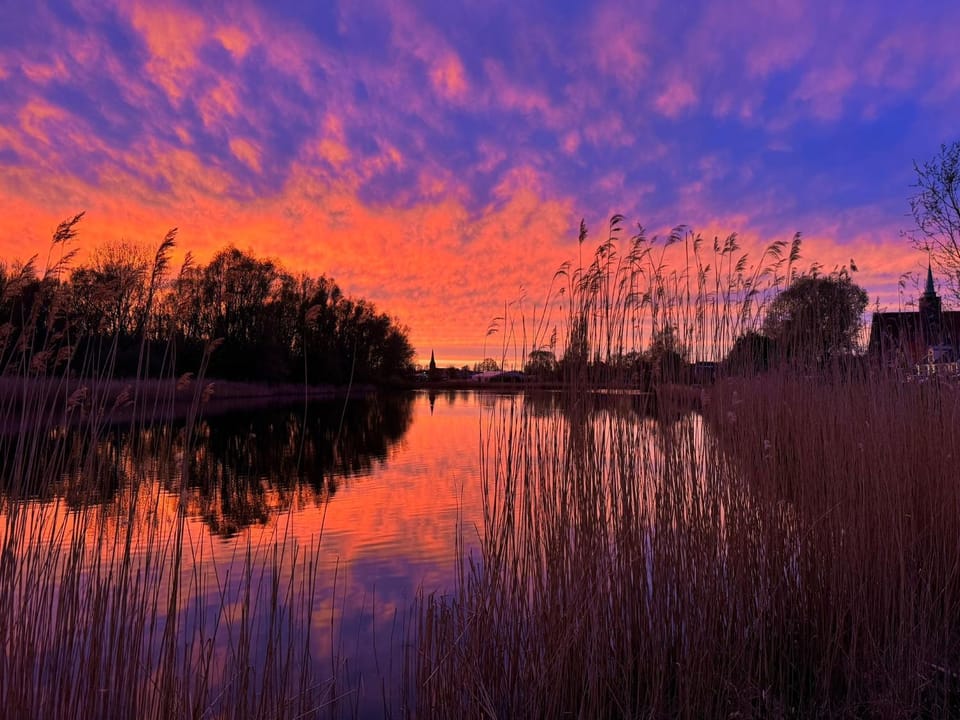 Lake view