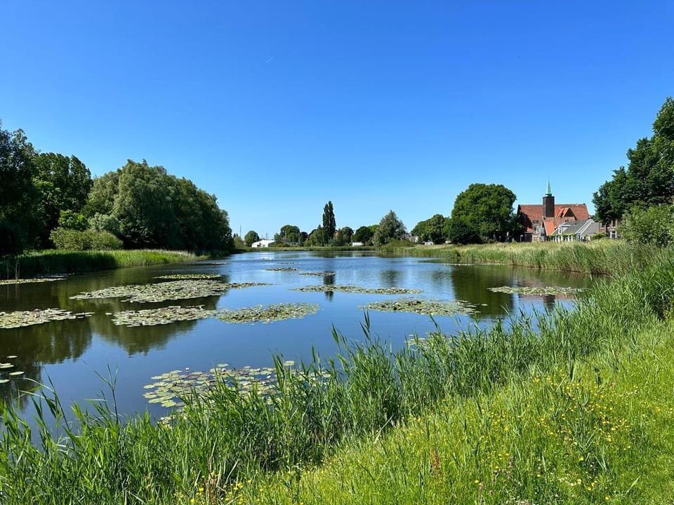 Lake view
