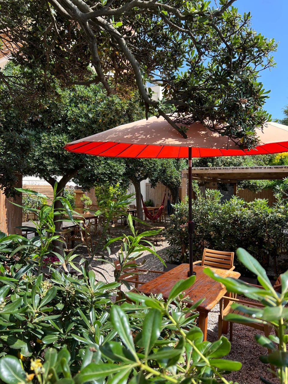 Garden