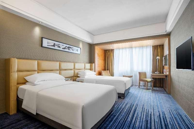 Bed, TV and multimedia, Living room, Photo of the whole room, Bedroom