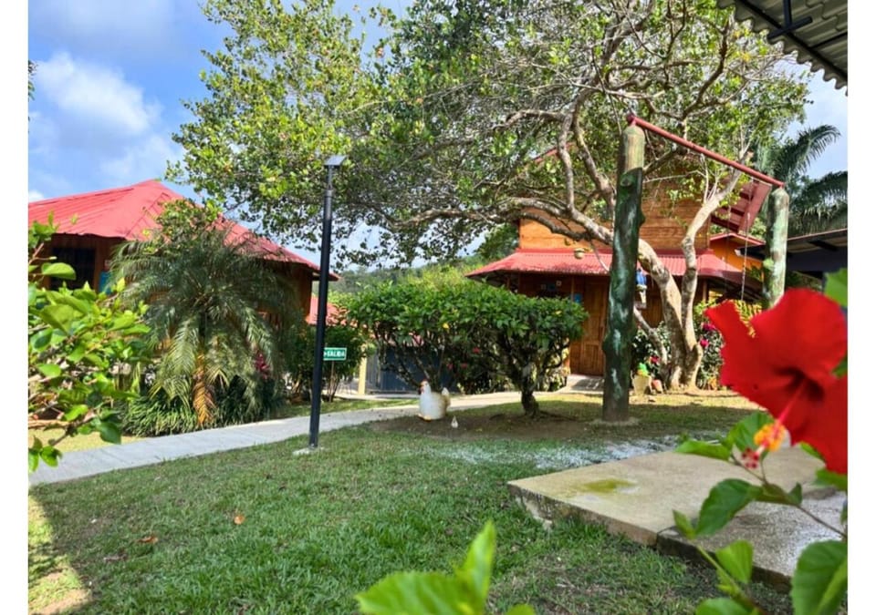 Garden, Garden view, Garden view