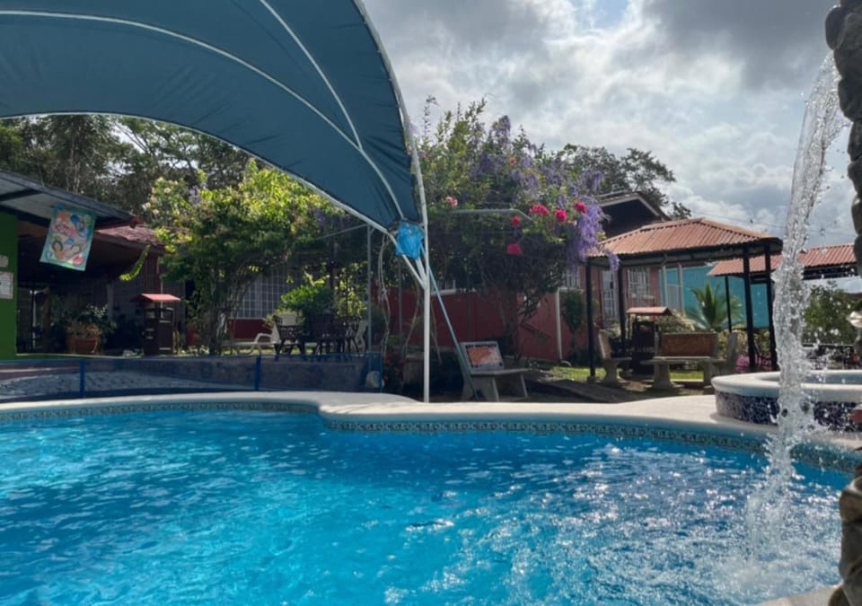 Pool view, Area and facilities, Area and facilities, Swimming pool, Swimming pool