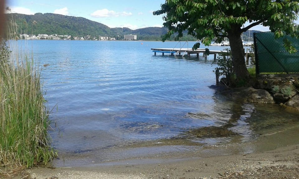 Summer, Garden, Beach, On site, Lake view
