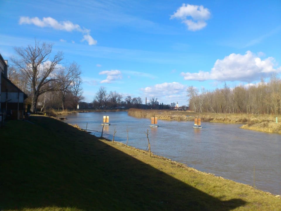 View (from property/room), River view