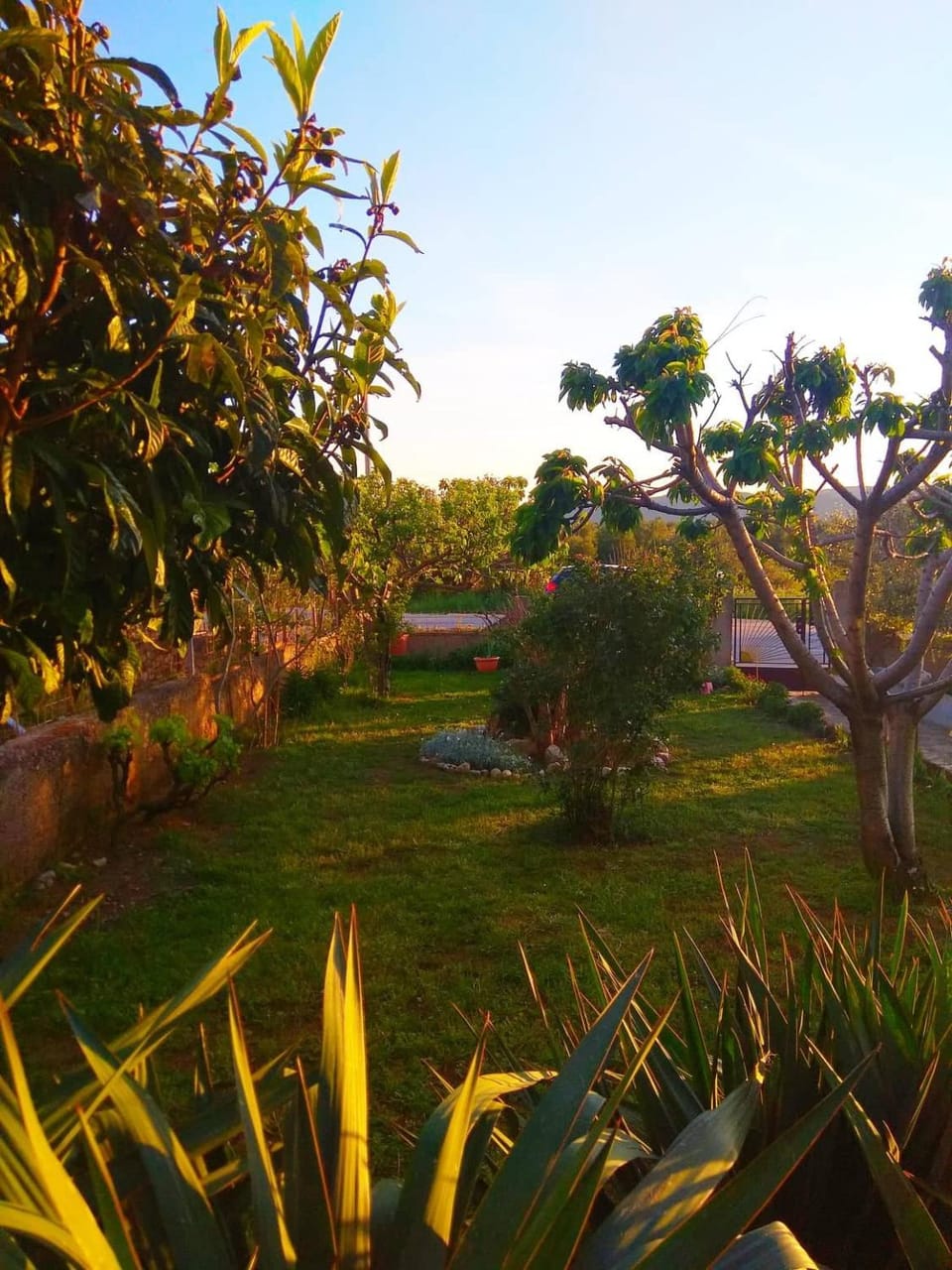 Spring, Day, Garden, Garden, On site, Garden view