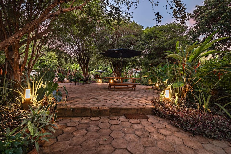 Patio, Garden, Sunset
