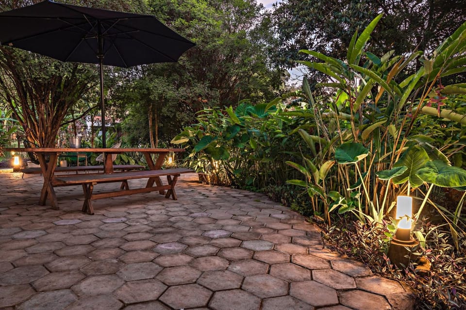 Patio, Garden, Garden view, Sunset