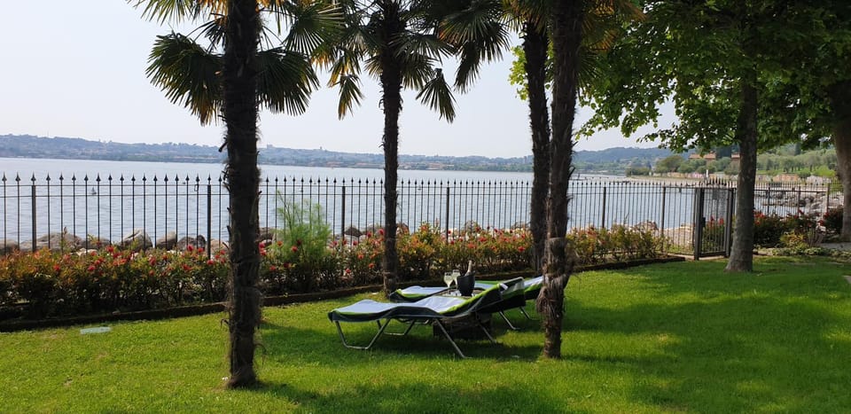 Day, Garden, Lake view, sunbed