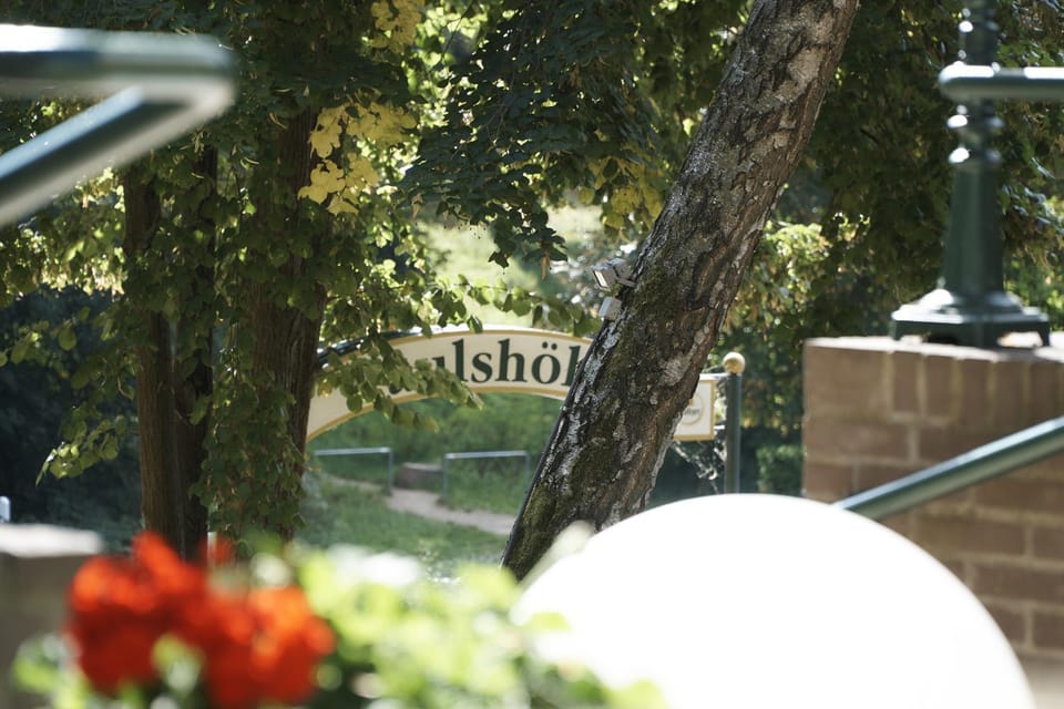 View (from property/room)