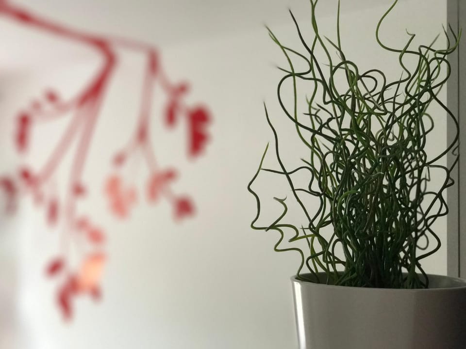 Decorative detail