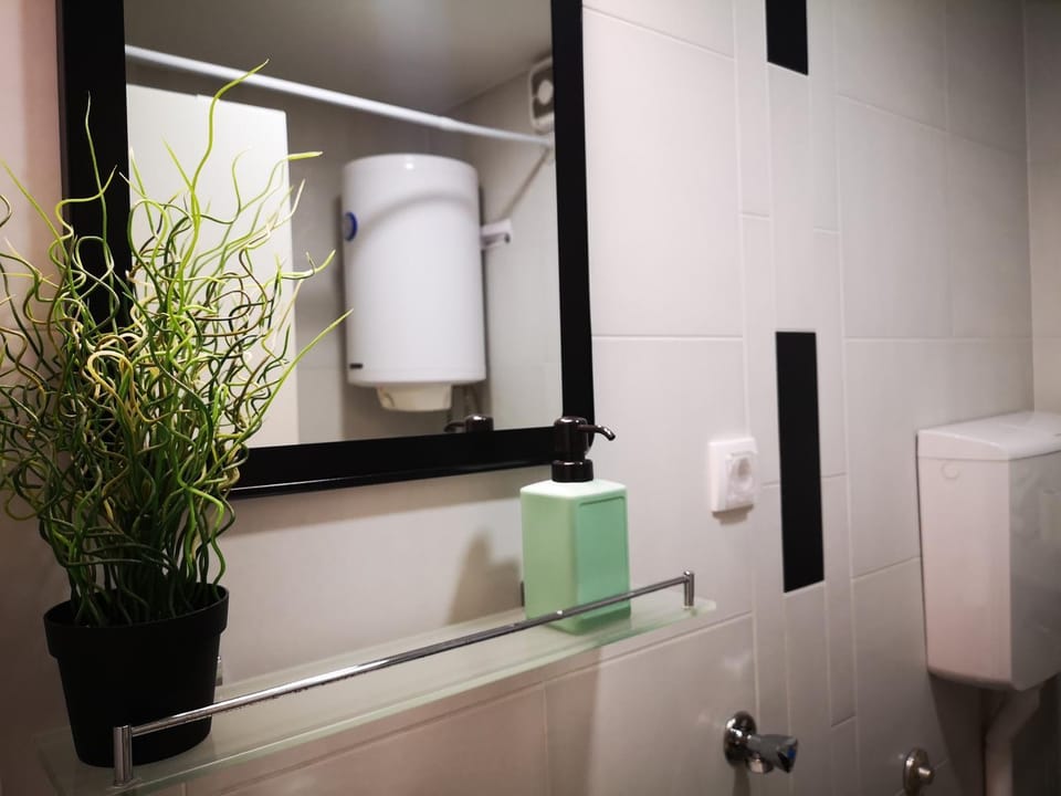 Central Suite Teleckog Apartment in Novi Sad