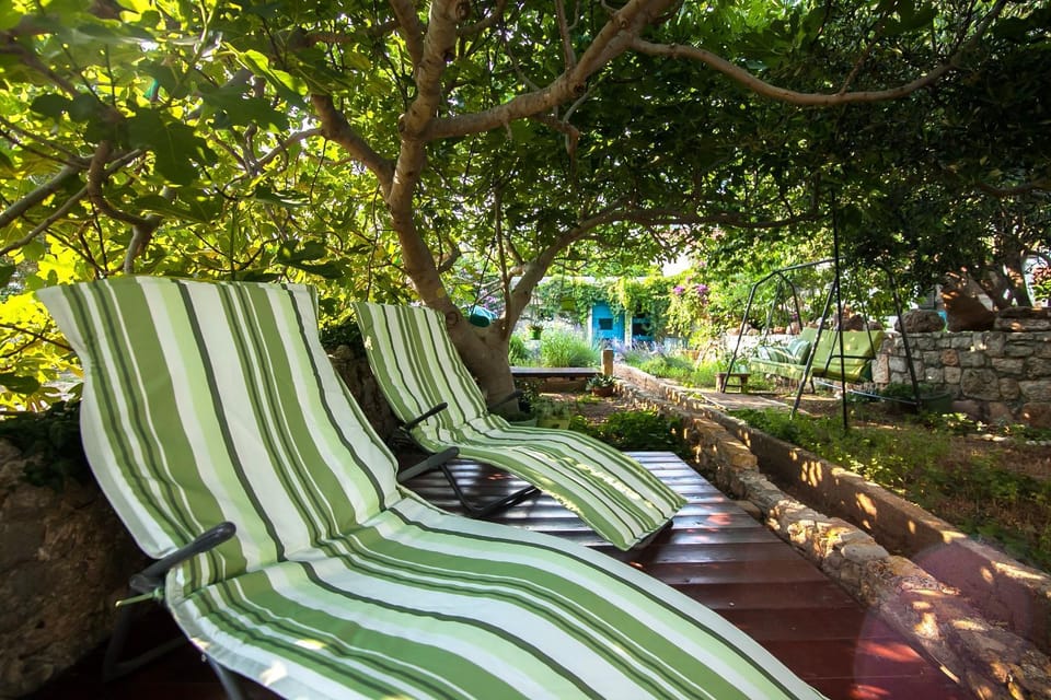 Garden, sunbed